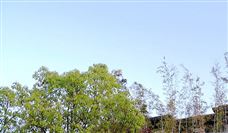 公示！15处煤矿达安全生产标准化管理体系一级标准