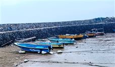 智能包装、搬运！上港集团与华为携手打造新智慧港口