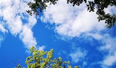 “服务型制造”示范典型案例丨苏州智能工业融合发展中心