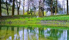 推动新阶段水利高质量发展 水利部印发《通知》