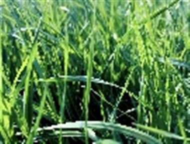 DP技术和Alma开发了机器人添加剂DED解决方案