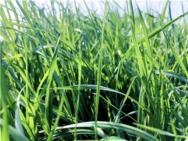 9月份AMI指数为48.2%，“金九”成色不足