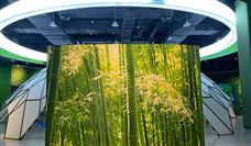 国家发展改革委：推动煤电、石化、建材等节能降碳改造