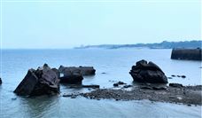 一周趣评：电信基设共建共享深化；变频器国产替代加速