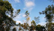 中国石油开展中亚油气合作，助力“一带一路”高质量建设