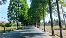 绘就格郎河村新画卷 鞍钢走出乡村振兴特色之路