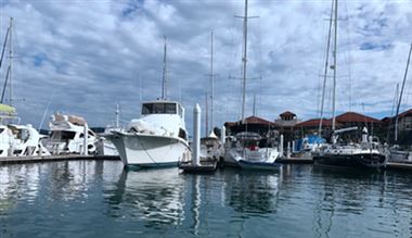 2024年1—5月外资外贸相关数据