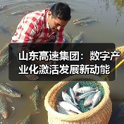 山东高速集团：数字产业化激活发展新动能