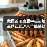 我国首条直通中越边境高铁正式进入全线铺轨阶段! 我国首条直通中越边境高铁正式进入全线铺轨阶段!