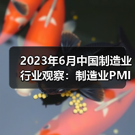 2023年6月中国制造业行业观察：制造业PMI有所回升