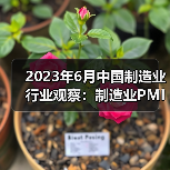 2023年6月中国制造业行业观察：制造业PMI有所回升