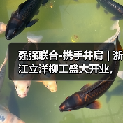 强强联合·携手并肩 | 浙江立洋柳工盛大开业，崭新出发！