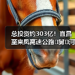 总投资约303亿！宜昌至来凤高速公路�舅�河大桥贯通
