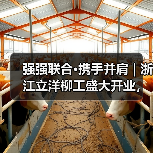 强强联合·携手并肩 | 浙江立洋柳工盛大开业，崭新出发！