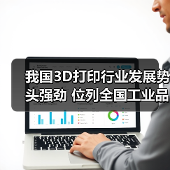 我国3D打印行业发展势头强劲 位列全国工业品增速榜首（图4）