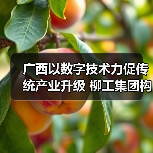 广西以数字技术力促传统产业升级 柳工集团构建“智能制造”（图3）