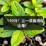 140台!三一装备满舱出海!(图2) 140台!三一装备满舱出海!(图2)
