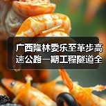 广西隆林委乐至革步高速公路一期工程隧道全部贯通