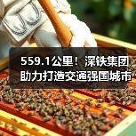 559.1公里！深铁集团助力打造交通强国城市范例（图3）