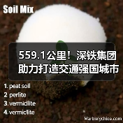 559.1公里！深铁集团助力打造交通强国城市范例（图4）