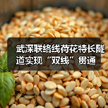 武深联络线荷花特长隧道实现“双线”贯通（图4）