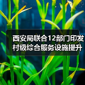 西安局联合12部门印发村级综合服务设施提升工程方案（图4）