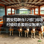 西安局联合12部门印发村级综合服务设施提升工程方案（图2）