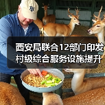 西安局联合12部门印发村级综合服务设施提升工程方案（图3）