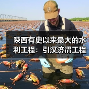 陕西有史以来最大的水利工程：引汉济渭工程正式通水