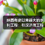 陕西有史以来最大的水利工程：引汉济渭工程正式通水（图2）
