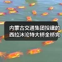 内蒙古交通集团投建的西拉沐沦特大桥全桥完成合龙！（图3）
