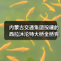 内蒙古交通集团投建的西拉沐沦特大桥全桥完成合龙！（图4）
