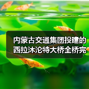 内蒙古交通集团投建的西拉沐沦特大桥全桥完成合龙！（图2）