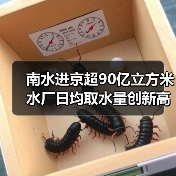 南水进京超90亿立方米 水厂日均取水量创新高(图2) 南水进京超90亿立方米 水厂日均取水量创新高(图2)