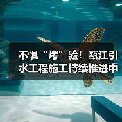 不惧“烤”验!瓯江引水工程施工持续推进中(图4) 不惧“烤”验!瓯江引水工程施工持续推进中(图4)