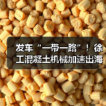 发车“一带一路”！徐工混凝土机械加速出海！（图3）