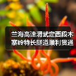 兰海高速渭武定西段木寨岭特长隧道顺利贯通(图2) 兰海高速渭武定西段木寨岭特长隧道顺利贯通(图2)