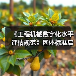 《工程机械数字化水平评估规范》团体标准启动会暨草案研讨会（图4）