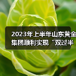 2023年上半年山东黄金集团顺利实现“双过半”（图2）