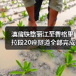 滇藏铁路丽江至香格里拉段20座隧道全部完成施工！（图4）
