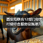 西安局联合12部门印发村级综合服务设施提升工程方案