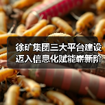 徐矿集团三大平台建设迈入信息化赋能崭新阶段(图4) 徐矿集团三大平台建设迈入信息化赋能崭新阶段(图4)