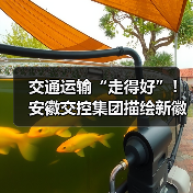 交通运输“走得好”！安徽交控集团描绘新徽道“皖美”图景（图4）