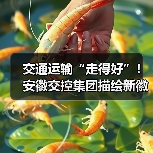 交通运输“走得好”！安徽交控集团描绘新徽道“皖美”图景（图2）