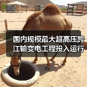 国内规模最大超高压跨江输变电工程投入运行!(图2) 国内规模最大超高压跨江输变电工程投入运行!(图2)