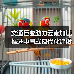 交通巨变助力云南加速推进中国式现代化建设!(图4) 交通巨变助力云南加速推进中国式现代化建设!(图4)