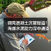 钢壳混凝土沉管隧道!海螺水泥助力深中通道建设(图2) 钢壳混凝土沉管隧道!海螺水泥助力深中通道建设(图2)