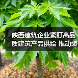陕西建筑企业紧盯高品质建筑产品供给 推动装配式建筑高质量发展(图4) 陕西建筑企业紧盯高品质建筑产品供给 推动装配式建筑高质量发展(图4)