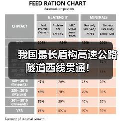 我国最长盾构高速公路隧道西线贯通！（图4）