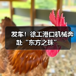 发车！徐工港口机械奔赴“东方之珠”（图2）